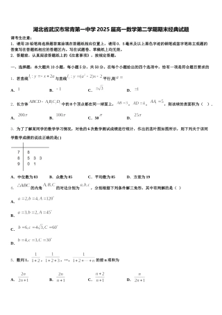 湖北省武汉市常青第一中学2025届高一数学第二学期期末经典试题含解析