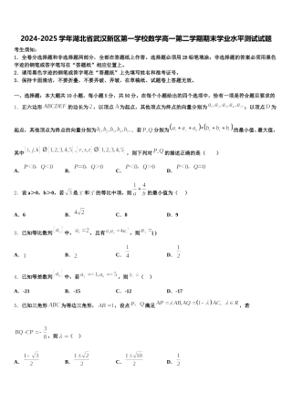 2024-2025学年湖北省武汉新区第一学校数学高一第二学期期末学业水平测试试题含解析