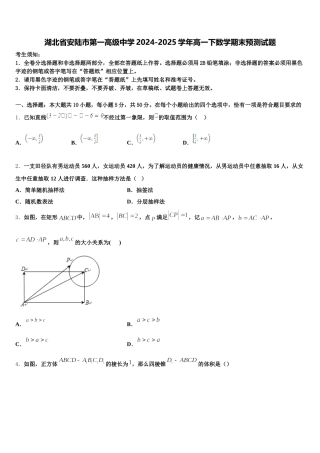 湖北省安陆市第一高级中学2024-2025学年高一下数学期末预测试题含解析