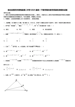湖北省黄冈市黄梅县第二中学2025届高一下数学期末教学质量检测模拟试题含解析