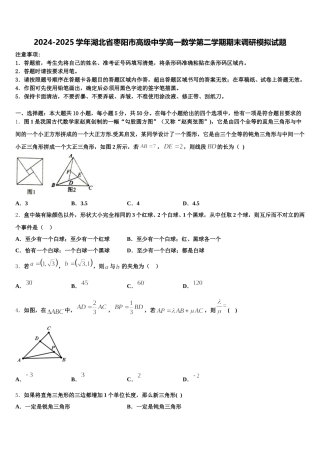 2024-2025学年湖北省枣阳市高级中学高一数学第二学期期末调研模拟试题含解析
