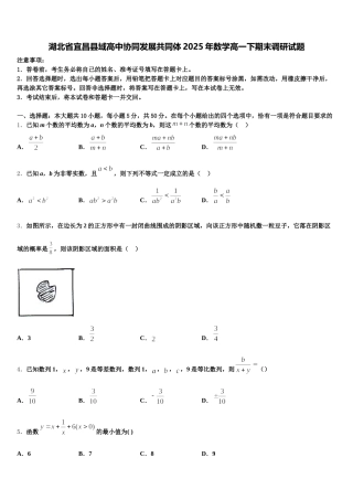 湖北省宜昌县域高中协同发展共同体2025年数学高一下期末调研试题含解析