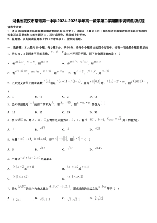 湖北省武汉市常青第一中学2024-2025学年高一数学第二学期期末调研模拟试题含解析