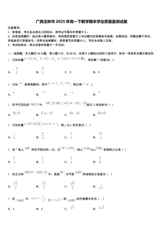 广西玉林市2025年高一下数学期末学业质量监测试题含解析
