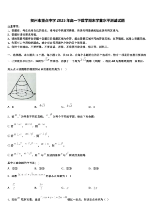 贺州市重点中学2025年高一下数学期末学业水平测试试题含解析