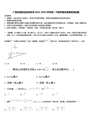 广西壮族自治区来宾市2024-2025学年高一下数学期末质量检测试题含解析