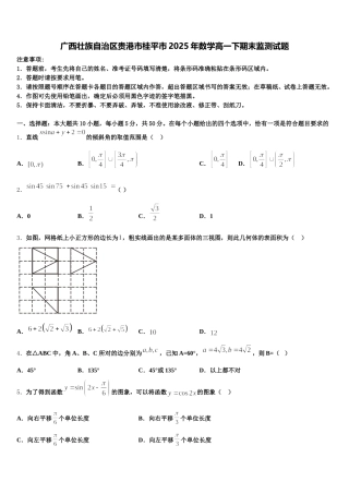 广西壮族自治区贵港市桂平市2025年数学高一下期末监测试题含解析