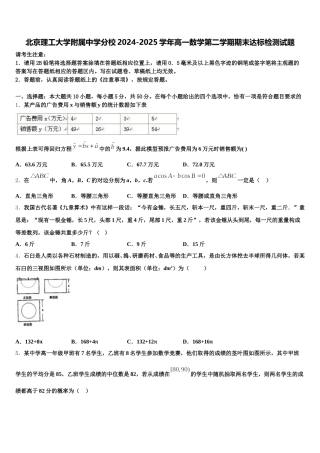 北京理工大学附属中学分校2024-2025学年高一数学第二学期期末达标检测试题含解析