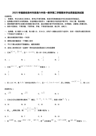 2025年福建省泉州市泉港六中高一数学第二学期期末学业质量监测试题含解析