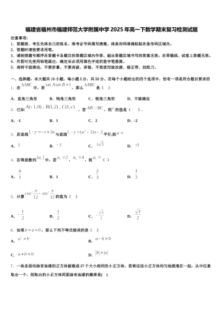 福建省福州市福建师范大学附属中学2025年高一下数学期末复习检测试题含解析