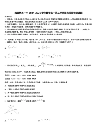 西藏林芝一中2024-2025学年数学高一第二学期期末质量检测试题含解析