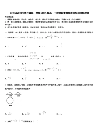 山东省滨州市博兴县第一中学2025年高一下数学期末教学质量检测模拟试题含解析