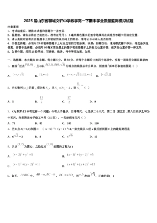 2025届山东省聊城文轩中学数学高一下期末学业质量监测模拟试题含解析