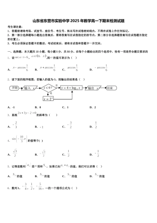 山东省东营市实验中学2025年数学高一下期末检测试题含解析