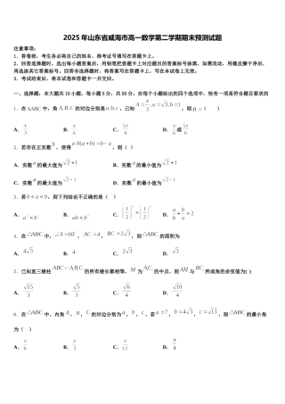 2025年山东省威海市高一数学第二学期期末预测试题含解析