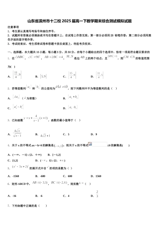 山东省滨州市十二校2025届高一下数学期末综合测试模拟试题含解析