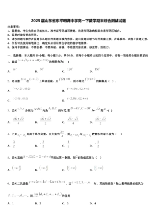 2025届山东省东平明湖中学高一下数学期末综合测试试题含解析