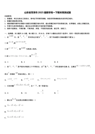 山东省菏泽市2025届数学高一下期末预测试题含解析