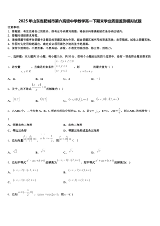 2025年山东省肥城市第六高级中学数学高一下期末学业质量监测模拟试题含解析