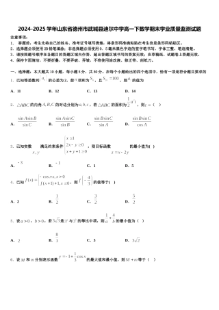 2024-2025学年山东省德州市武城县迪尔中学高一下数学期末学业质量监测试题含解析