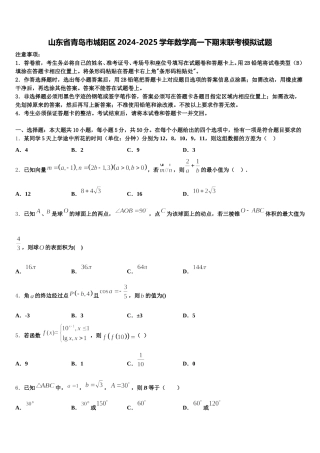 山东省青岛市城阳区2024-2025学年数学高一下期末联考模拟试题含解析