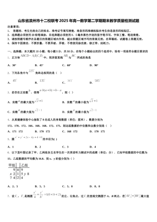 山东省滨州市十二校联考2025年高一数学第二学期期末教学质量检测试题含解析