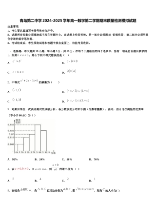 青岛第二中学2024-2025学年高一数学第二学期期末质量检测模拟试题含解析