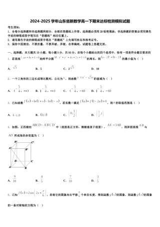 2024-2025学年山东省新数学高一下期末达标检测模拟试题含解析