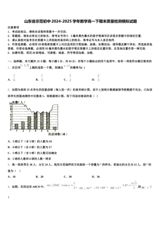 山东省示范初中2024-2025学年数学高一下期末质量检测模拟试题含解析