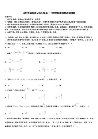 山东省威海市2025年高一下数学期末综合测试试题含解析
