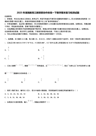 2025年湖湘教育三新探索协作体高一下数学期末复习检测试题含解析