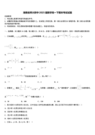 湖南省师大附中2025届数学高一下期末考试试题含解析