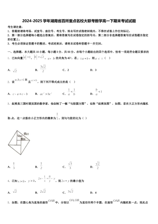 2024-2025学年湖南省百所重点名校大联考数学高一下期末考试试题含解析