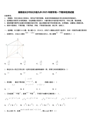 湖南省长沙市长沙县九中2025年数学高一下期末检测试题含解析