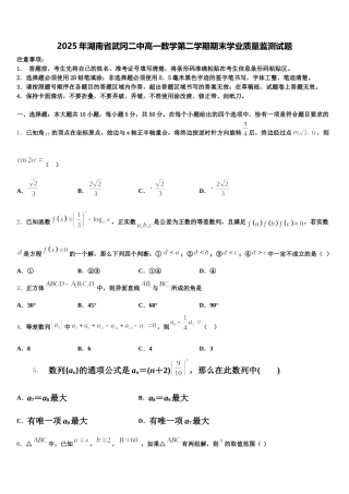 2025年湖南省武冈二中高一数学第二学期期末学业质量监测试题含解析