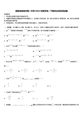 湖南省娄底市第一中学2025年数学高一下期末达标检测试题含解析