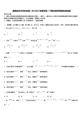 湖南省永州市东安县一中2025年数学高一下期末教学质量检测试题含解析
