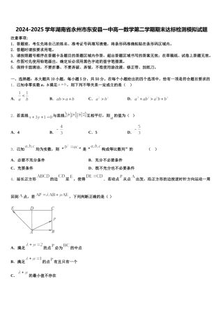 2024-2025学年湖南省永州市东安县一中高一数学第二学期期末达标检测模拟试题含解析
