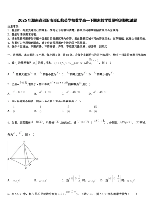 2025年湖南省邵阳市崀山培英学校数学高一下期末教学质量检测模拟试题含解析