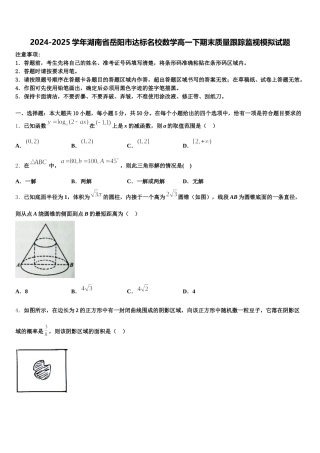 2024-2025学年湖南省岳阳市达标名校数学高一下期末质量跟踪监视模拟试题含解析