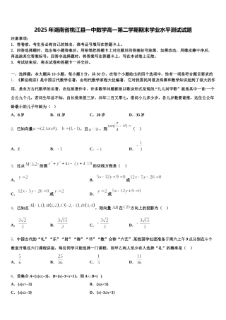2025年湖南省桃江县一中数学高一第二学期期末学业水平测试试题含解析