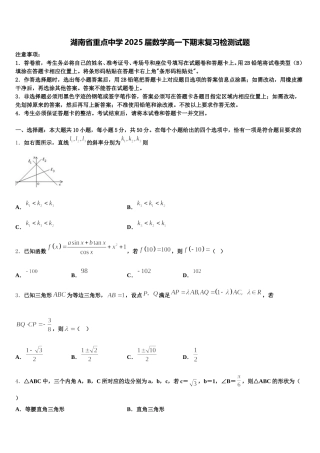 湖南省重点中学2025届数学高一下期末复习检测试题含解析
