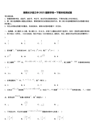 湖南长沙县三中2025届数学高一下期末检测试题含解析