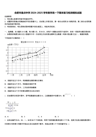 合肥市重点中学2024-2025学年数学高一下期末复习检测模拟试题含解析