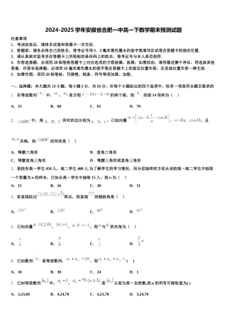 2024-2025学年安徽省合肥一中高一下数学期末预测试题含解析