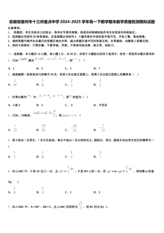 安徽省宿州市十三所重点中学2024-2025学年高一下数学期末教学质量检测模拟试题含解析