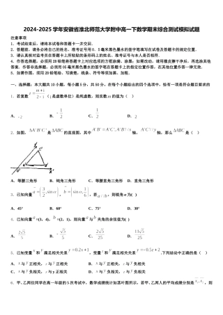 2024-2025学年安徽省淮北师范大学附中高一下数学期末综合测试模拟试题含解析