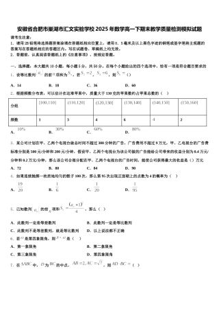 安徽省合肥市巢湖市汇文实验学校2025年数学高一下期末教学质量检测模拟试题含解析
