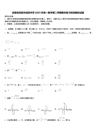 安徽省阜阳市成效中学2025年高一数学第二学期期末复习检测模拟试题含解析