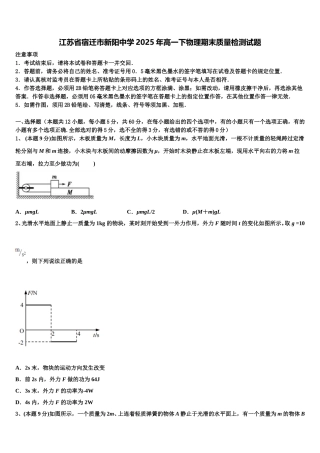 江苏省宿迁市新阳中学2025年高一下物理期末质量检测试题含解析